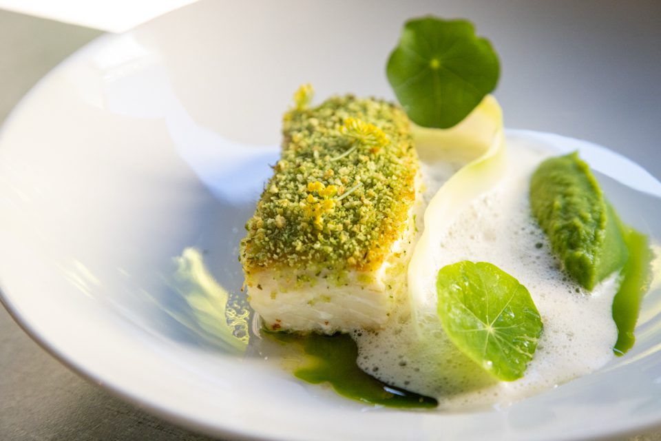 Elegant dish featuring a piece of fish with green herb crust, accompanied by green puree, foam, and delicate flower-shaped leaves, artfully presented on a white plate. 124 on Queen Hotel and Spa | Hotel & Spa Niagara-on-the-lake | 1 (855) 988-4552