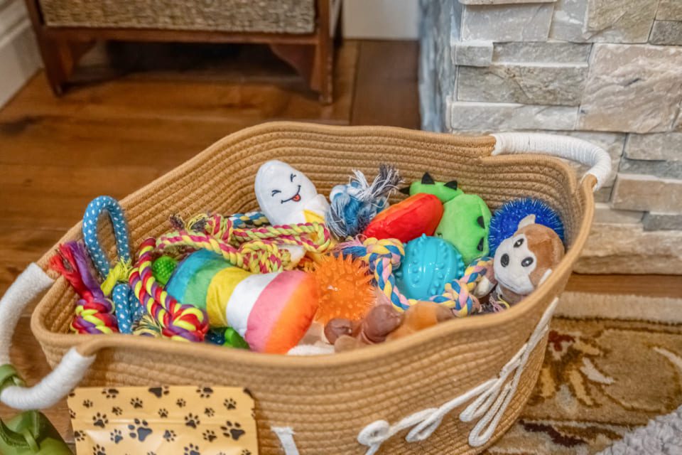 A woven basket filled with various colorful dog toys, including ropes, balls, plushies, and chew toys, sits on a wooden floor next to a stone fireplace. 124 on Queen Hotel and Spa | Hotel & Spa Niagara-on-the-lake | 1 (855) 988-4552