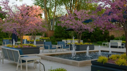 A landscaped patio with blooming pink trees, blue cushioned chairs, white benches, and a central fountain surrounded by planters, set in a peaceful garden with green foliage and wooden fencing. 124 on Queen Hotel and Spa | Hotel & Spa Niagara-on-the-lake | 1 (855) 988-4552